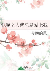 快穿之大佬总是爱上我
